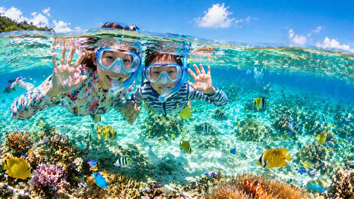 シュノーケリングで海を楽しむ