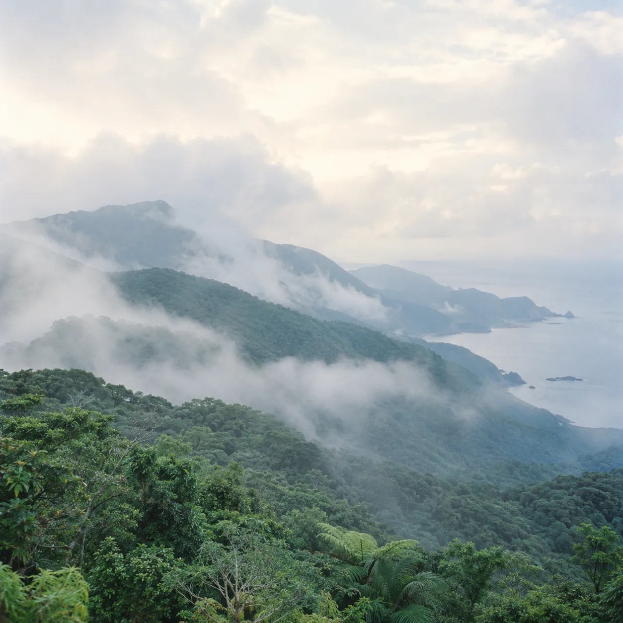 雲のかかる島の山